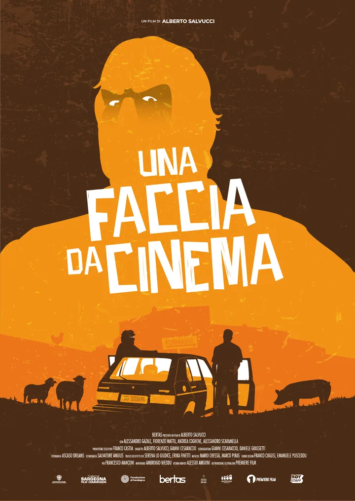 Locandina di Una faccia da cinema